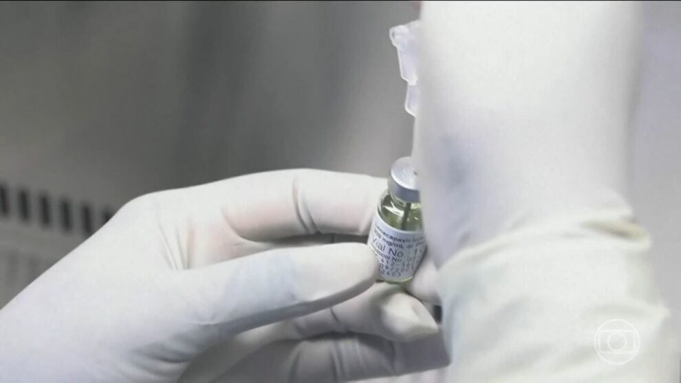 Remissão do HIV após transplante inédito de medula óssea