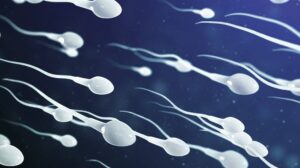 Novo benefício da masturbação masculina para a fertilidade