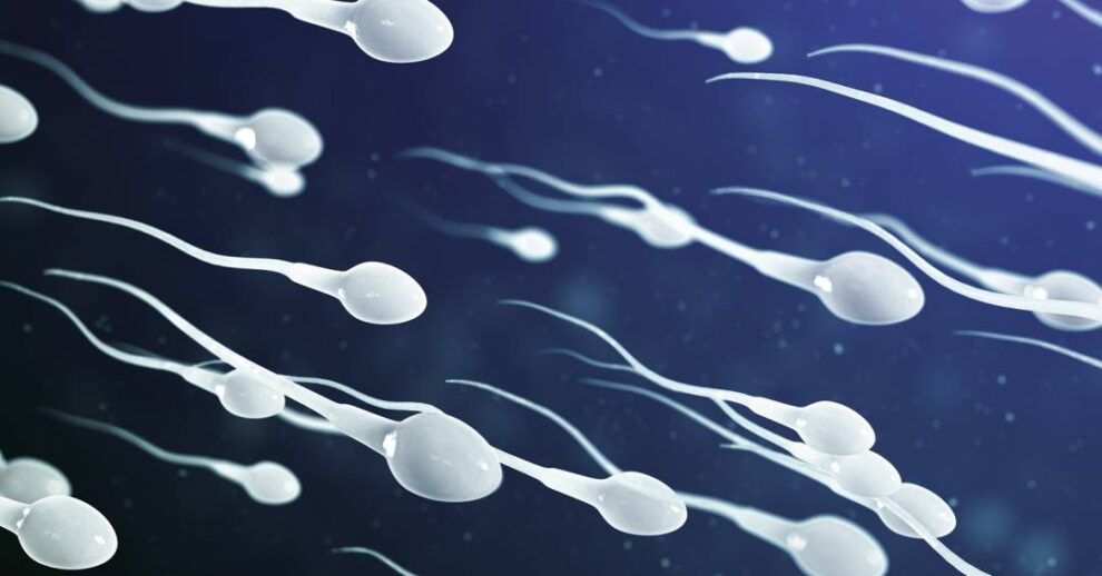 Novo benefício da masturbação masculina para a fertilidade