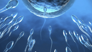 Estresse pode afetar fertilidade masculina, alerta especialista