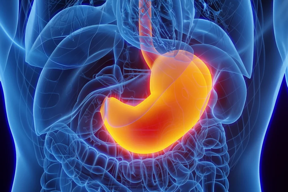 Gastroenterologista lista medicamentos que prejudicam o estômago