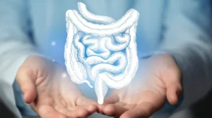 Recuperação do intestino após álcool: médica explica prazos