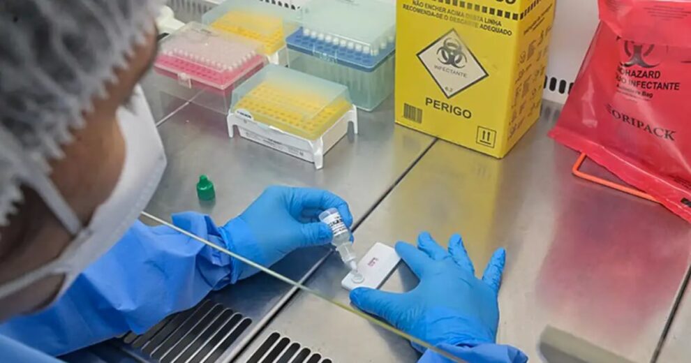 Hantavírus em Minas Gerais: cenário e prevenção