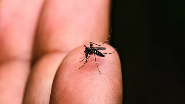 Primeira morte por dengue em Londrina em 2025 é de jovem de 23 anos