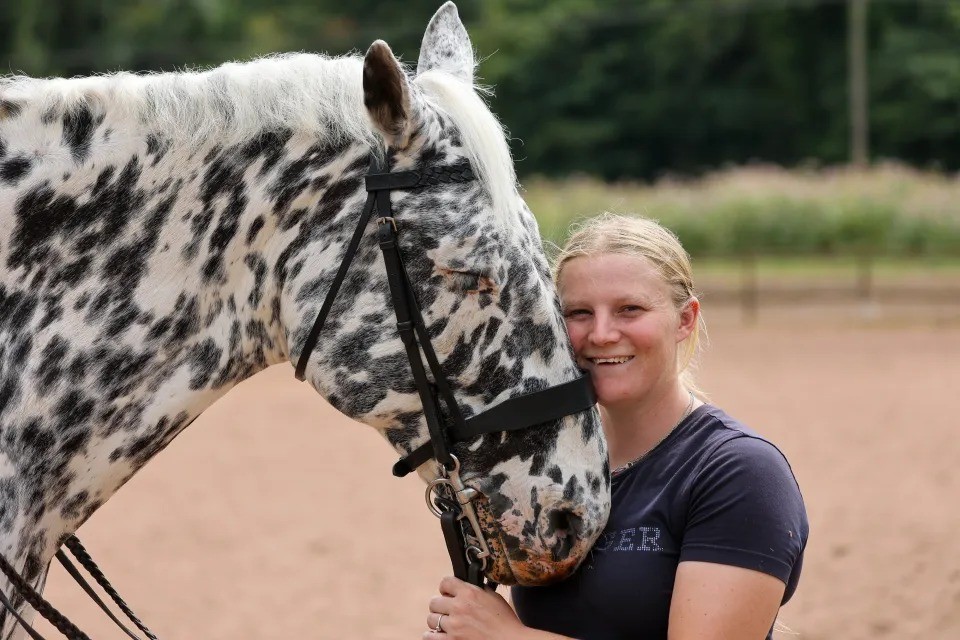 Cavalo cego aprende braile e volta a competir no Reino Unido